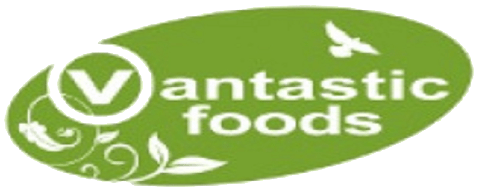 Vantastic Foods